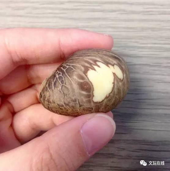 大神diy象牙果雕件简单好玩帅呆了