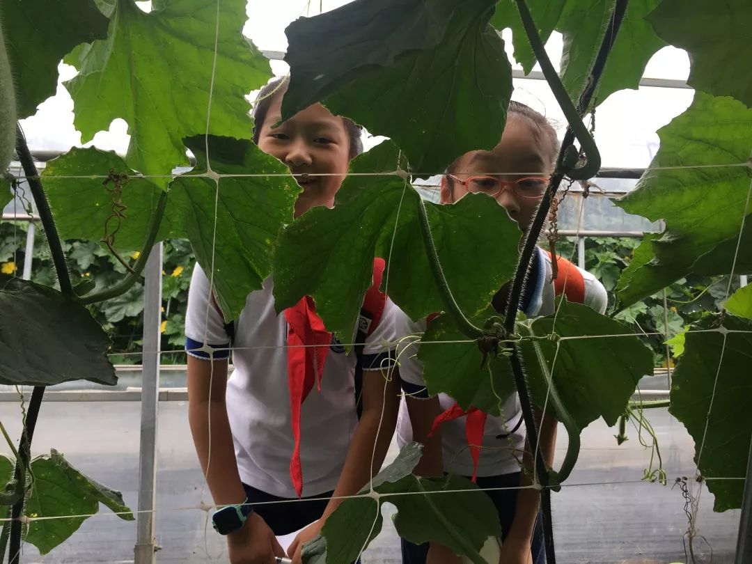 406农科基地研学之旅