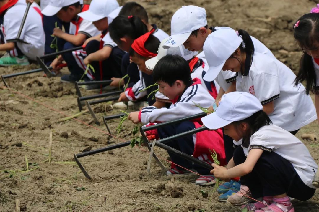 开阳二小:体验农耕研学旅行 助力精准扶贫