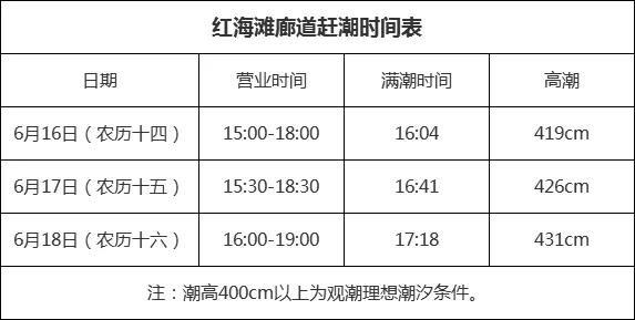 夕陽西下我們一起去盤錦紅海灘觀鳥趕潮