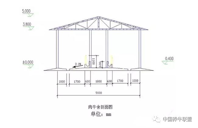 养牛场建设四大要求及注意事项 附赠牛舍建设草图