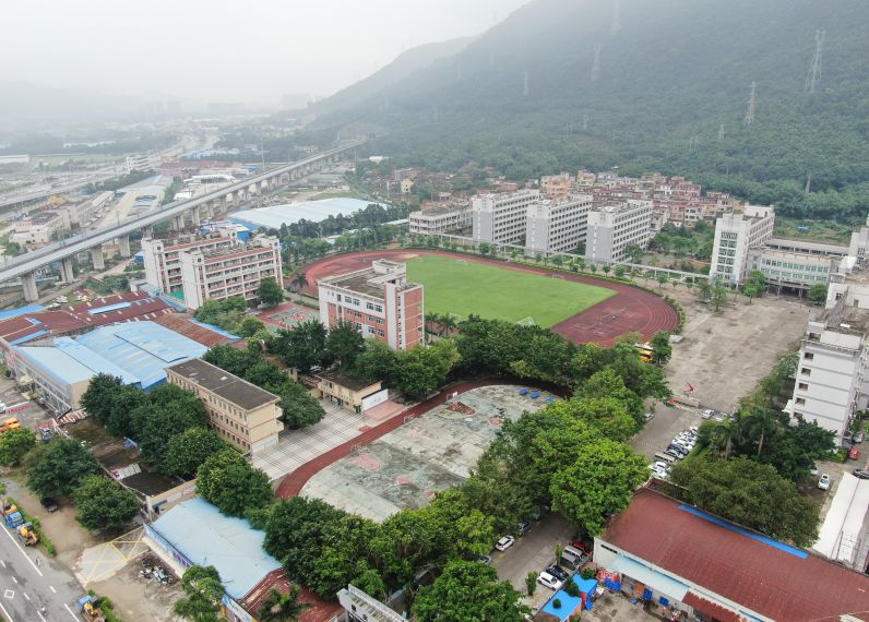 肇庆学院附属中学图片