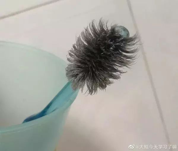 哈哈哈你家爸爸的牙刷也炸毛了吗真是看不下去了