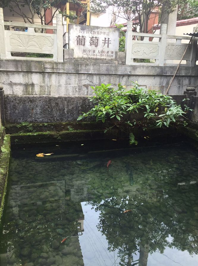 看到双河葡萄井都已经干枯