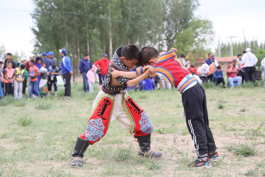【资讯】巴林右旗小小摔跤手吸引众人眼球