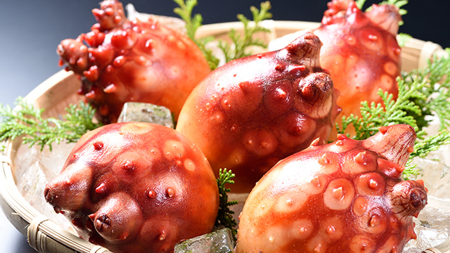 宫城海鲜特产海鞘"作客"宫城政府大厅 号召市民拍照晒到社交媒体