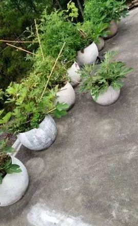 布水泥花盆制作方法图片