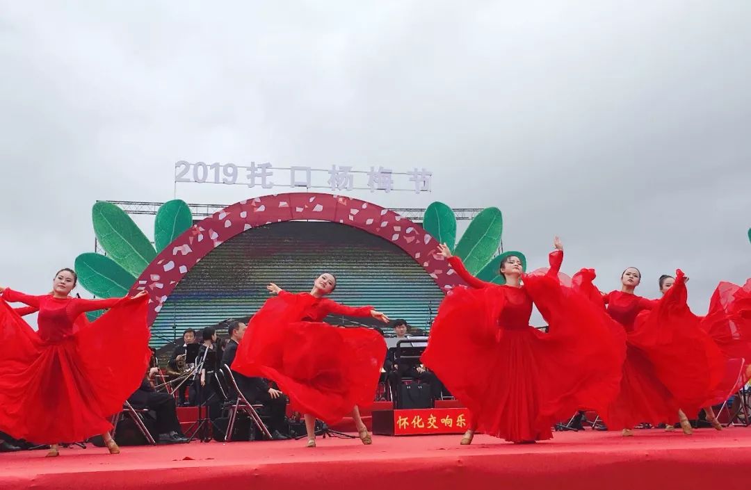 1038明珠托口梅扬天下2019托口杨梅节如约而至