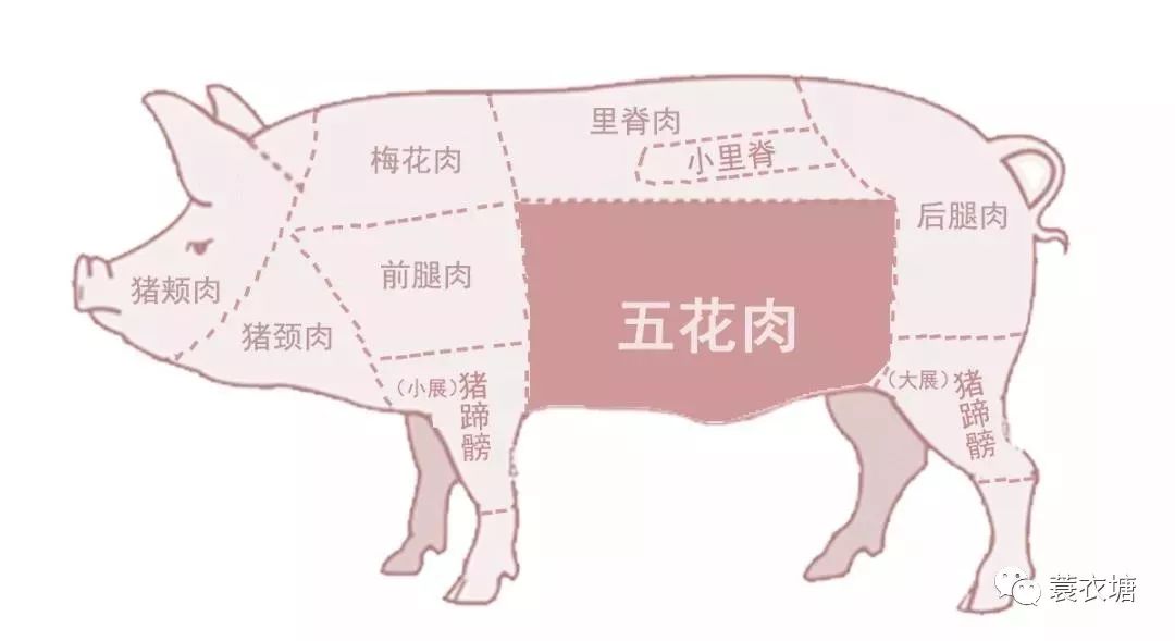 猪肉各部位分布图图片