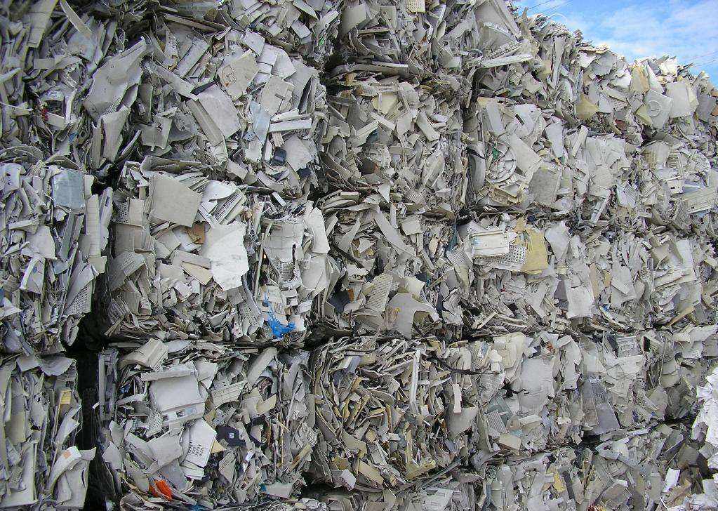 废纸6月18如废纸回收价格调整信息