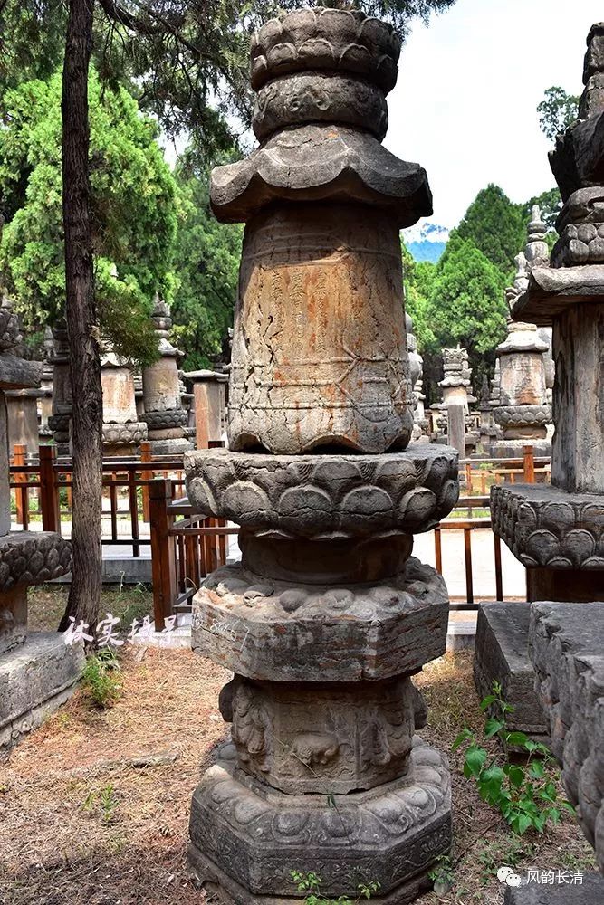 【美哉长清】长清——灵岩寺墓塔林