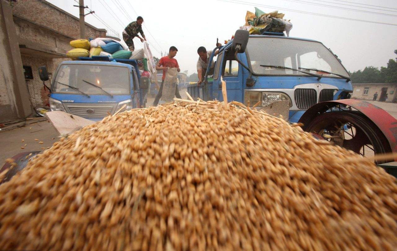 老一辈缴纳的公粮能折算成社保吗听听专家给的解释