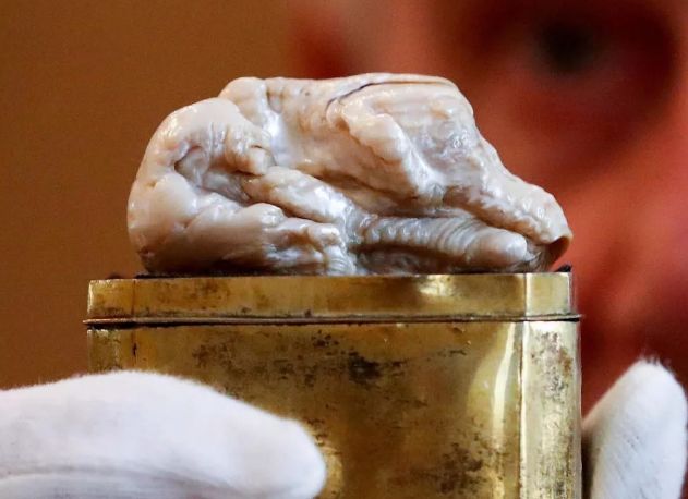 世界最大淡水珍珠曾以240万成交形似沉睡的狮子