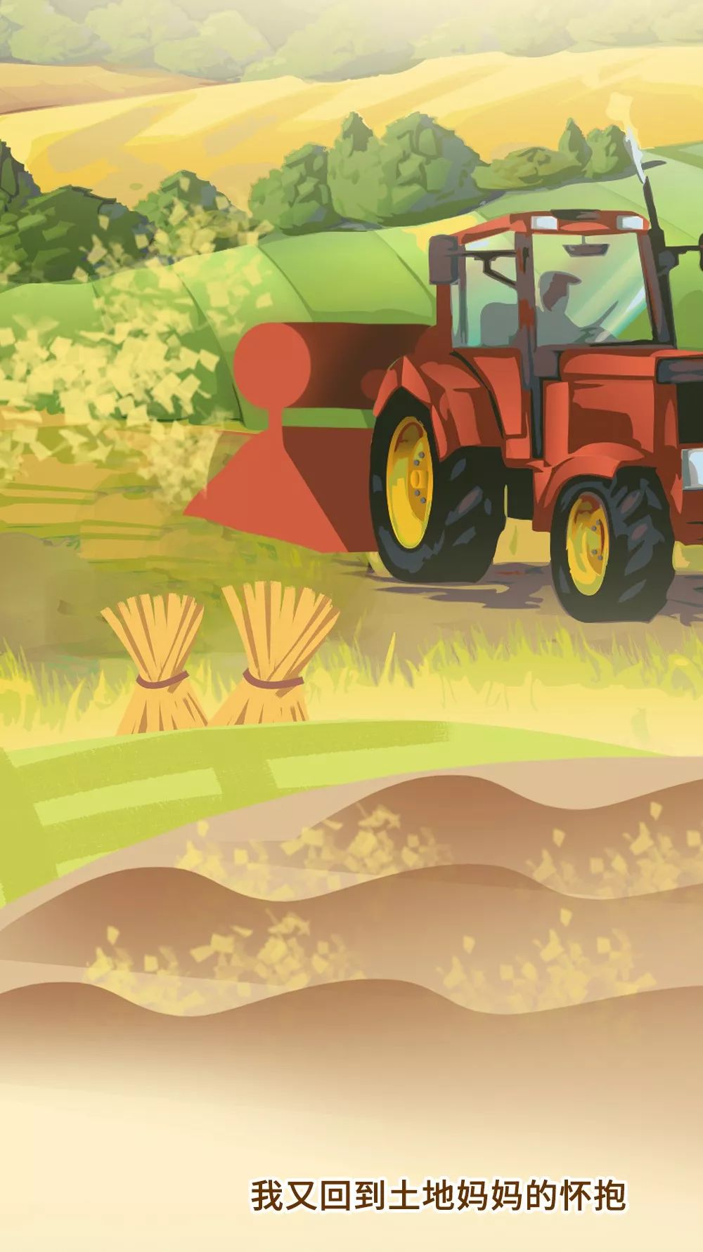 秸秆的自述一根秸秆的变宝之旅