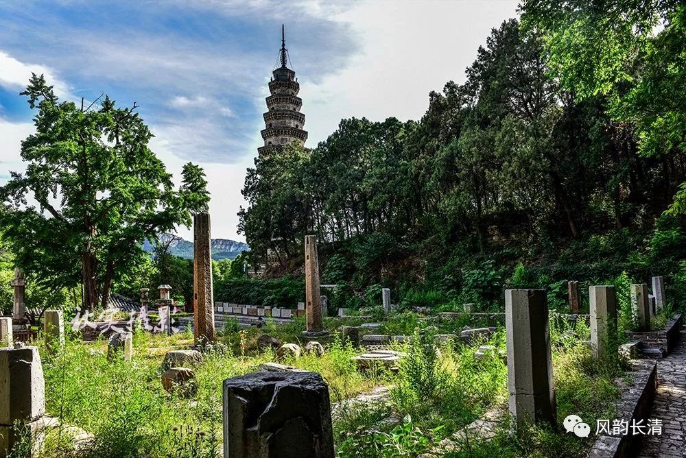 美哉長清長清靈巖寺墓塔林