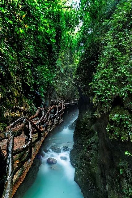 川东巴山大峡谷避暑休闲2日游238元周六出发