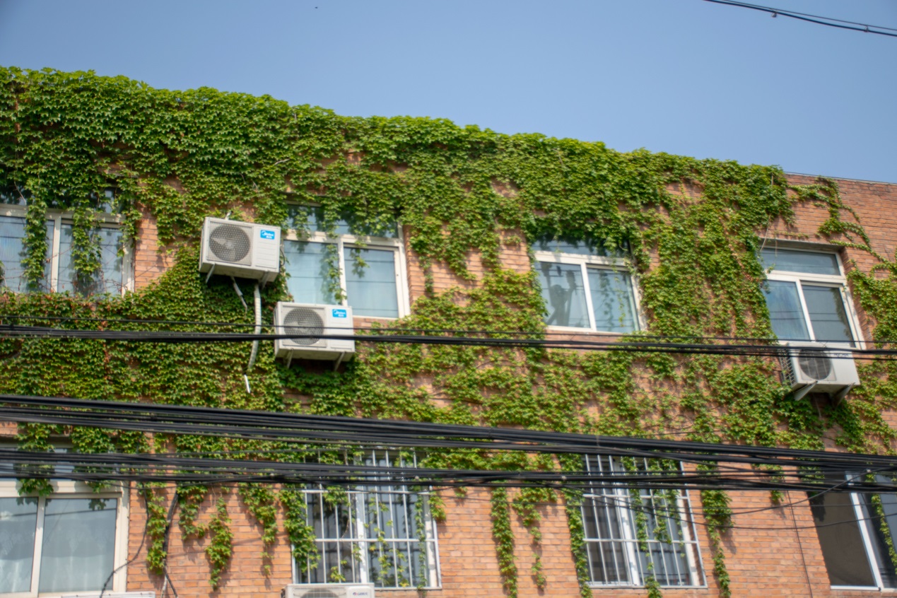 北漂居住的村子成了艺术村,仅次于798,安静适合旅游_北京