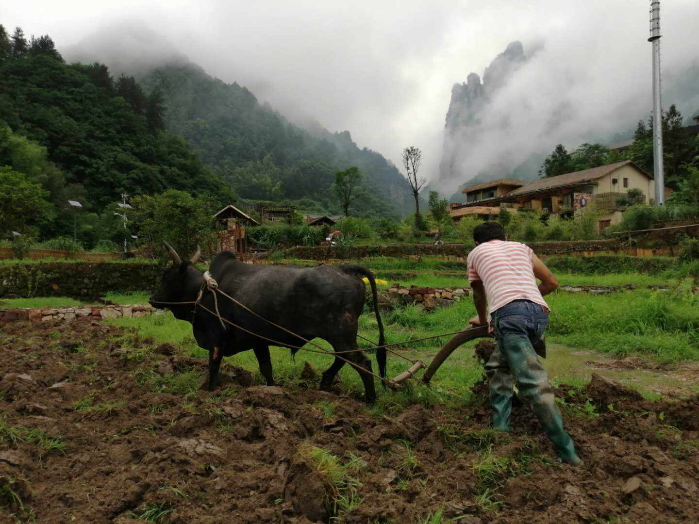 回家的孩子野奢庄园丨犁地耕田,栽种属于客栈的生态蔬菜!