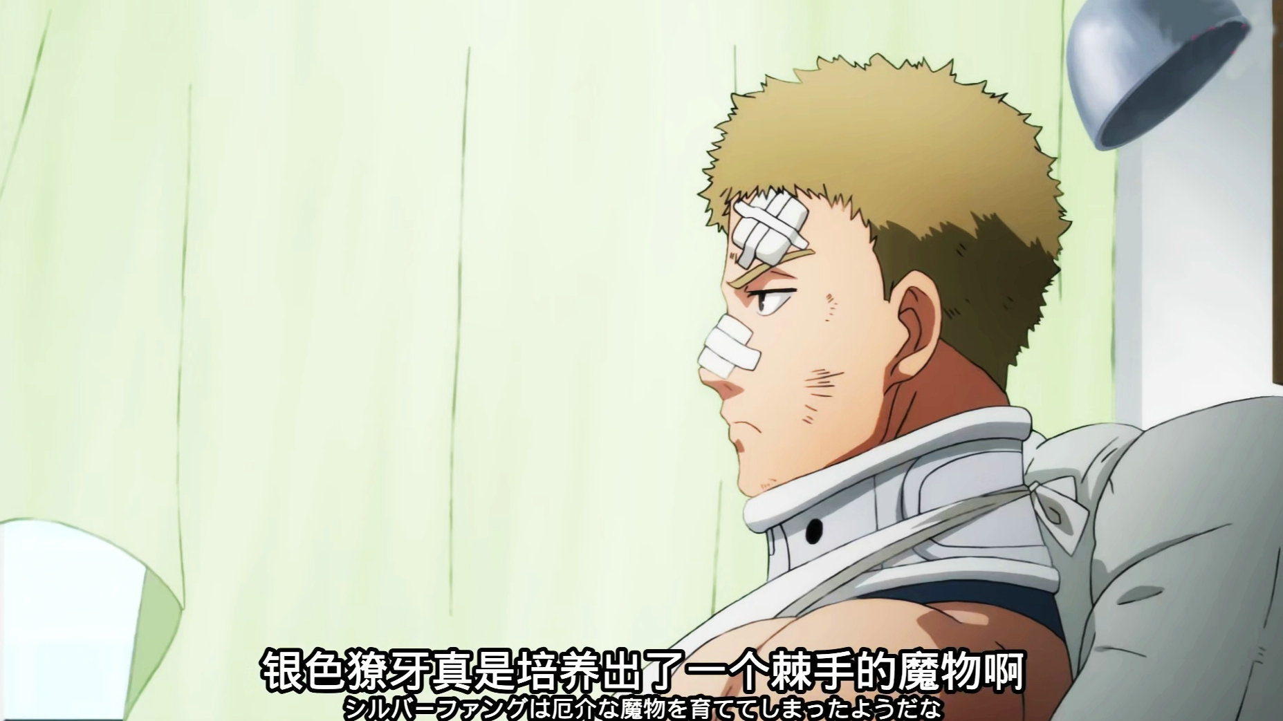 一拳超人为何埼玉对饿狼如此感兴趣确认过眼神他俩遭遇相同