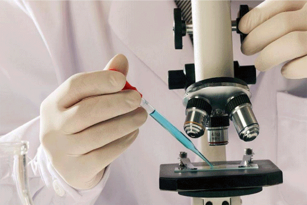 600_400gif 动态图 动图