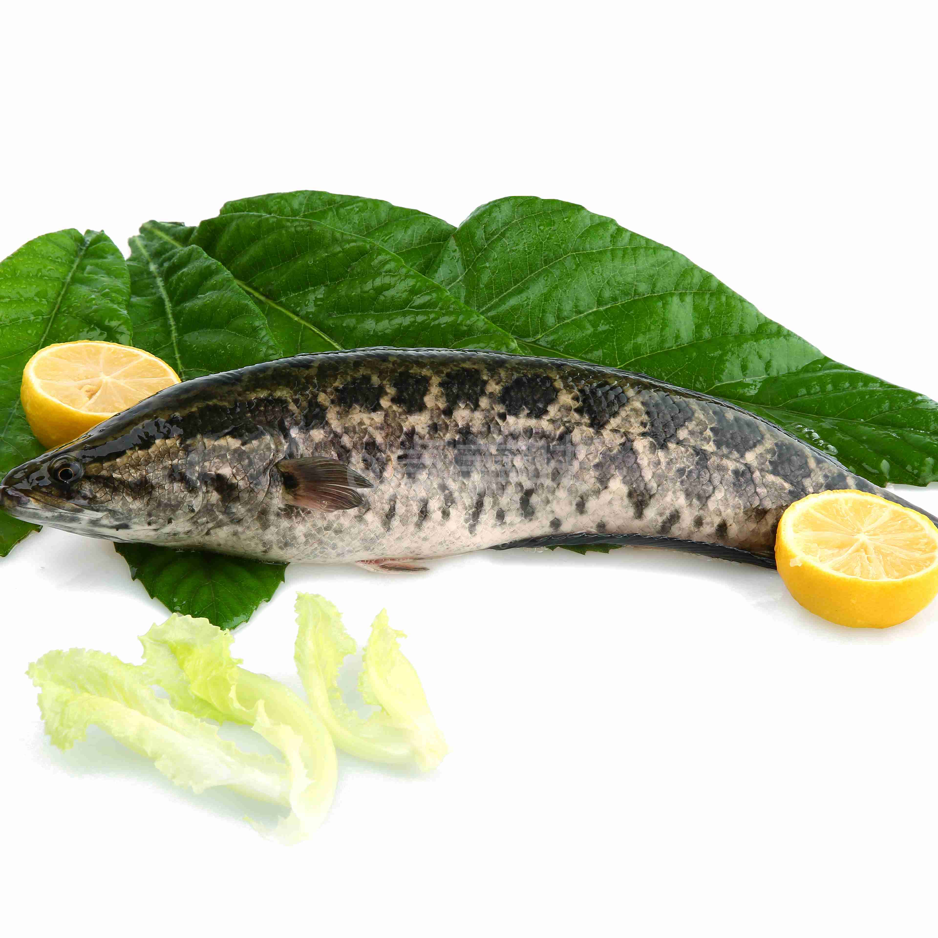 酸菜鱼应该选什么鱼当然是水中人参食中瑰宝黑鱼
