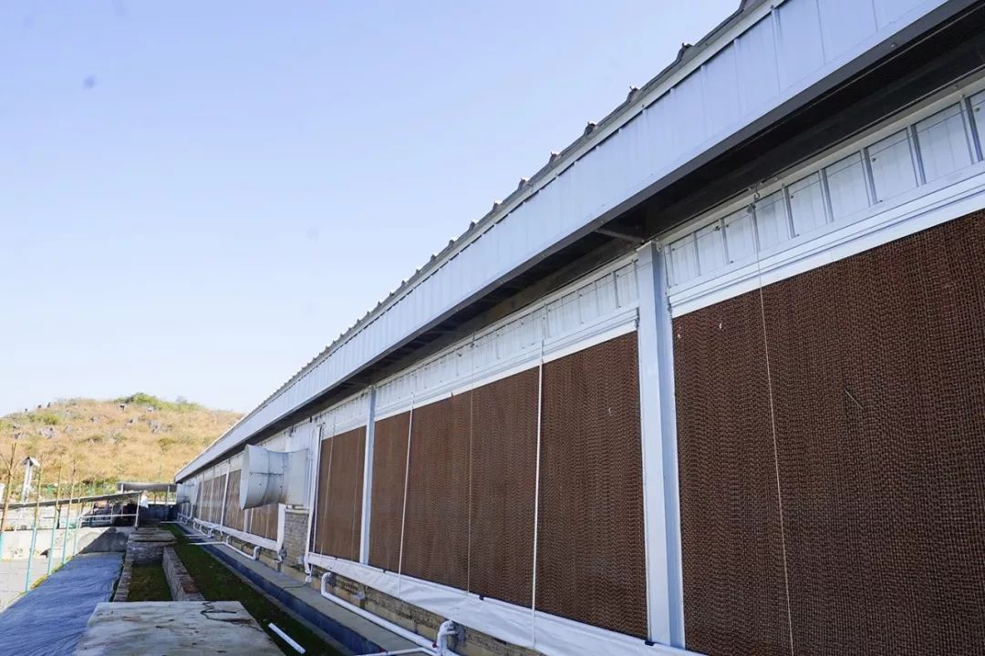 湿帘降温效果的影响因素分析_空气