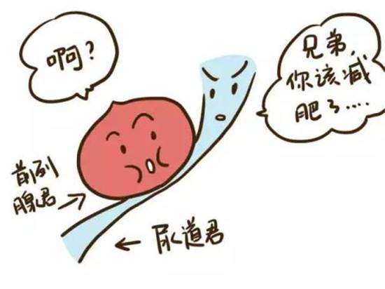 但患病之后会出现尿频,尿急,夜尿多,排尿困难等各种症状,让人饱受折磨