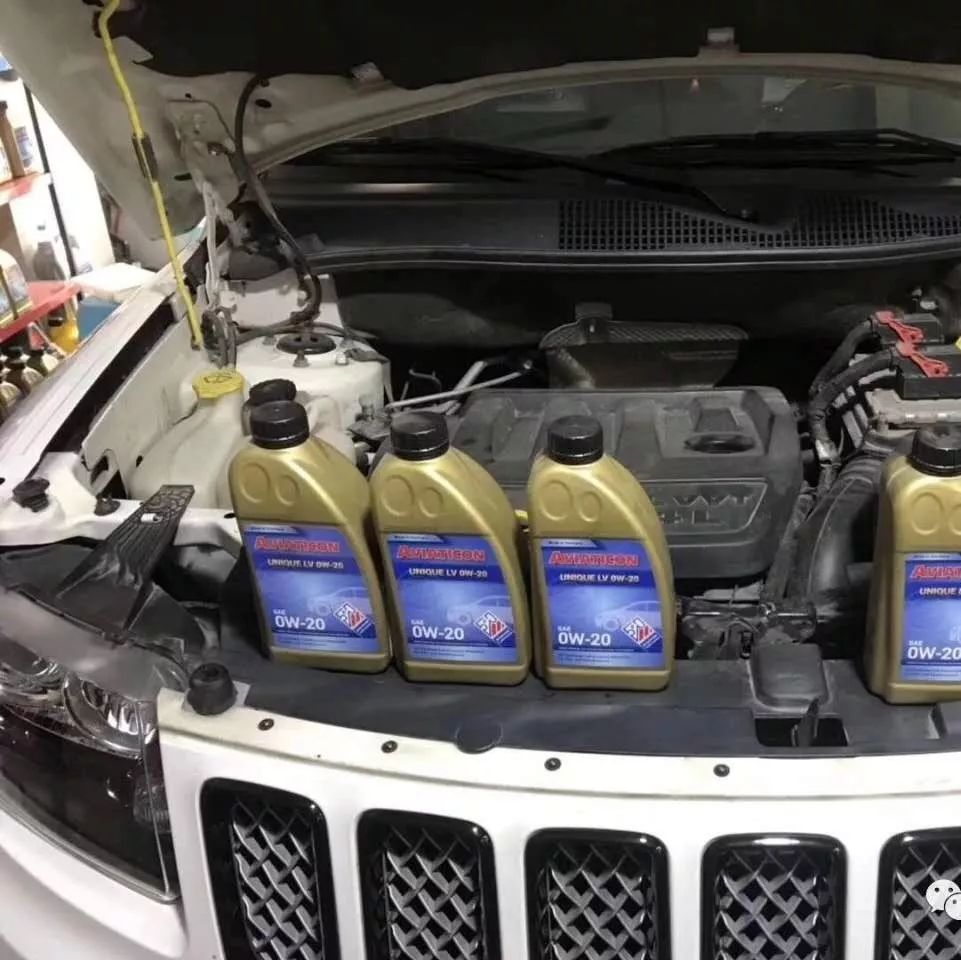 泰游| 芬客润滑油优秀终端门店2019年系列活动一