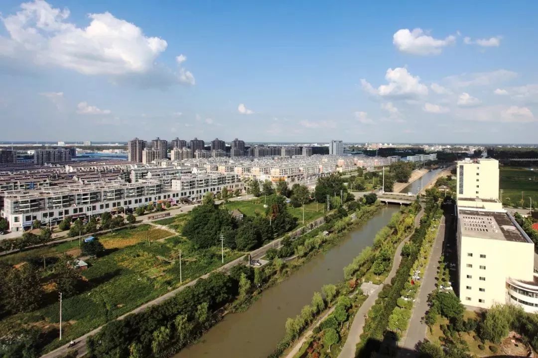 宝应运河两岸打造生态景观,让两岸重见生态好风光.