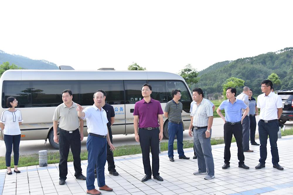 鼎湖区委副书记,区长刘运通率队到蓝钟镇调研乡村振兴示范镇建设
