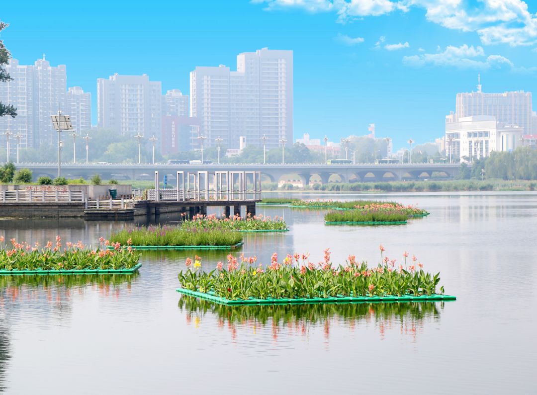 顺义潮白河惊现"水上花园!