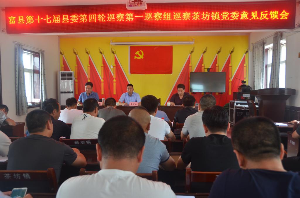 茶坊街道富县第十七届县委第四轮巡察第一巡察组巡察茶坊镇党委意见