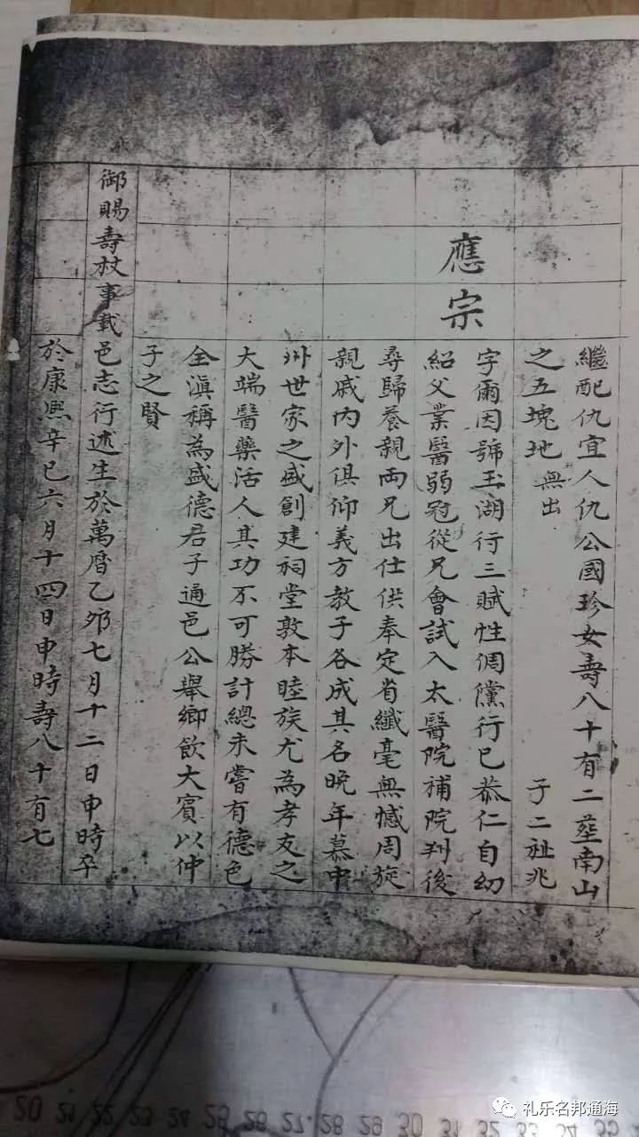 向氏魏甲图片