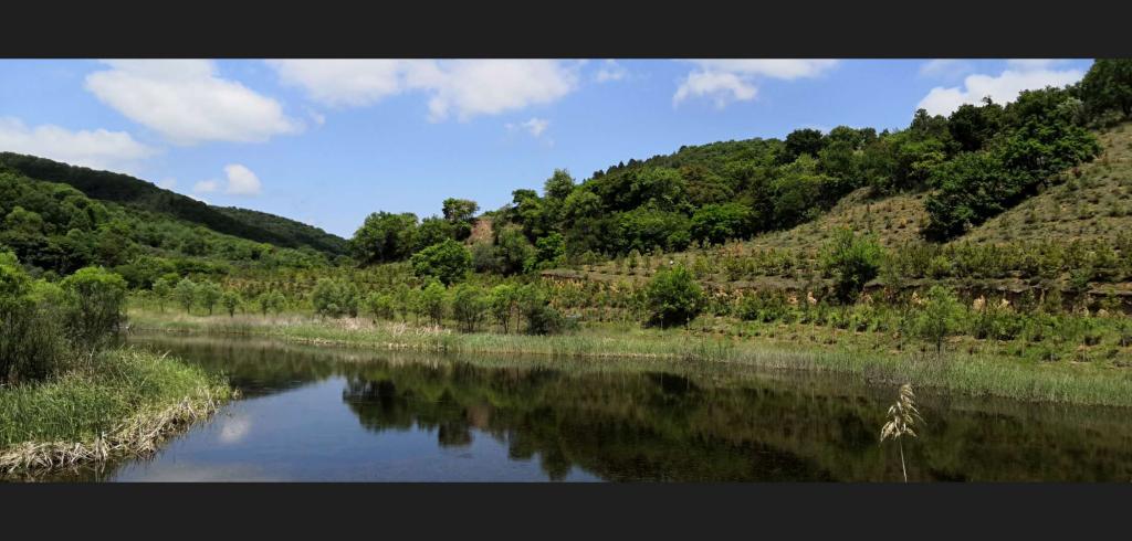 姚家坡国有生态林场建立样地及时调查掌握森林资源数据