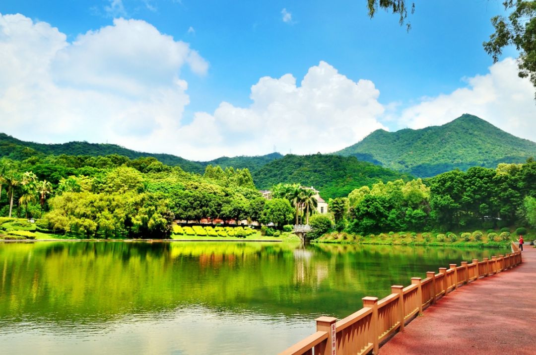 美女主持达人力哥邀您周末度假放轻松住五星级莲花山庄酒店61包豪华