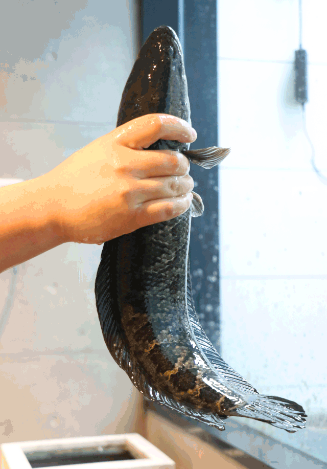 请我爸去这几家餐厅吃饭车我开碗我洗都帮你安排好了