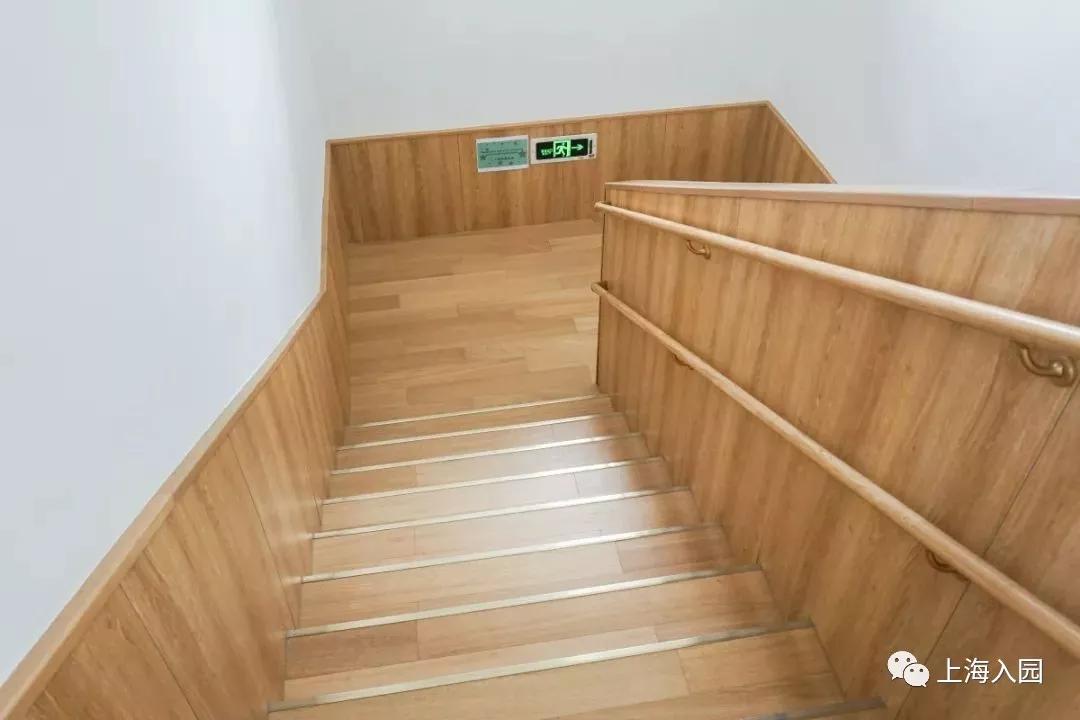 上海新添一所高端幼儿园首届大班去向超好今年8月新开分园