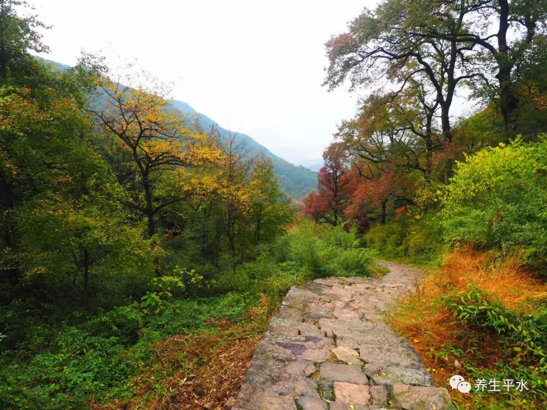 陶宴岭古道图片