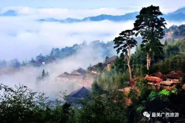 早上07:10分在公園路廣西體育場集中集中,後乘車前往【上思十萬大山