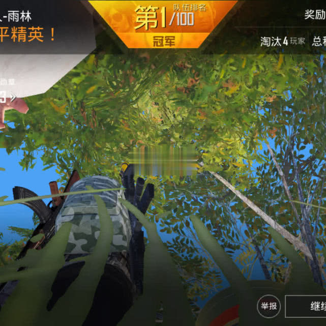 现在的吃鸡游戏名字改为和平精英了