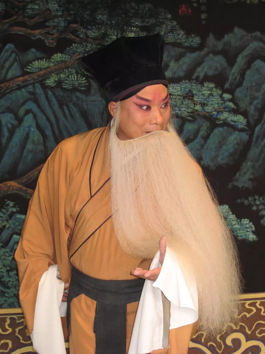 贞风亮节艺深如海初见河北梆子优秀演员赵贞海