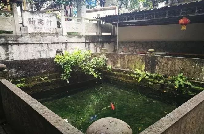 长宁双河葡萄井地震受损干涸现又开始蓄水了