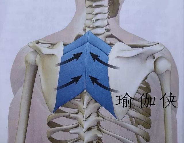 不良站姿带给你痛苦瑜伽帮你纠正
