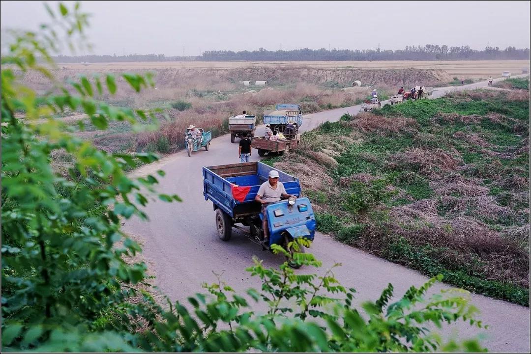 原创纪实影像鲁西北农家的麦收季