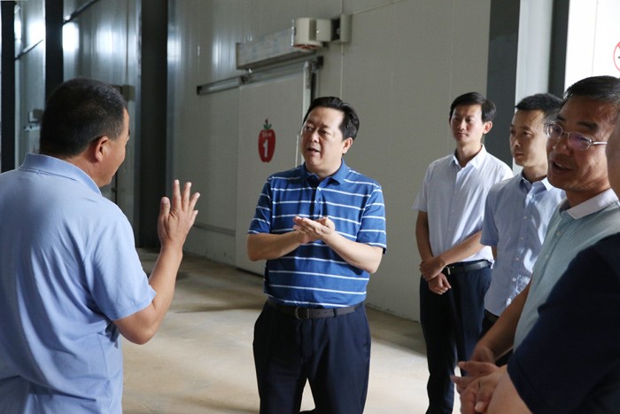 县委书记程军深入澄城法院包联村调研检查脱贫攻坚和扫黑除恶工作