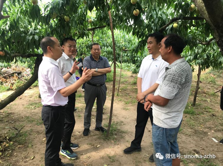 天津院矿物肥料事业部吴锡林部长到公司肥料试验基地参观考察