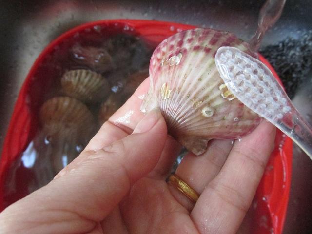 上蒸下炖两个海鲜菜一锅出,营养美味全家都爱吃_扇贝