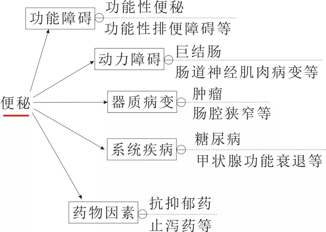 【便秘】中老年人便秘的饮食调养