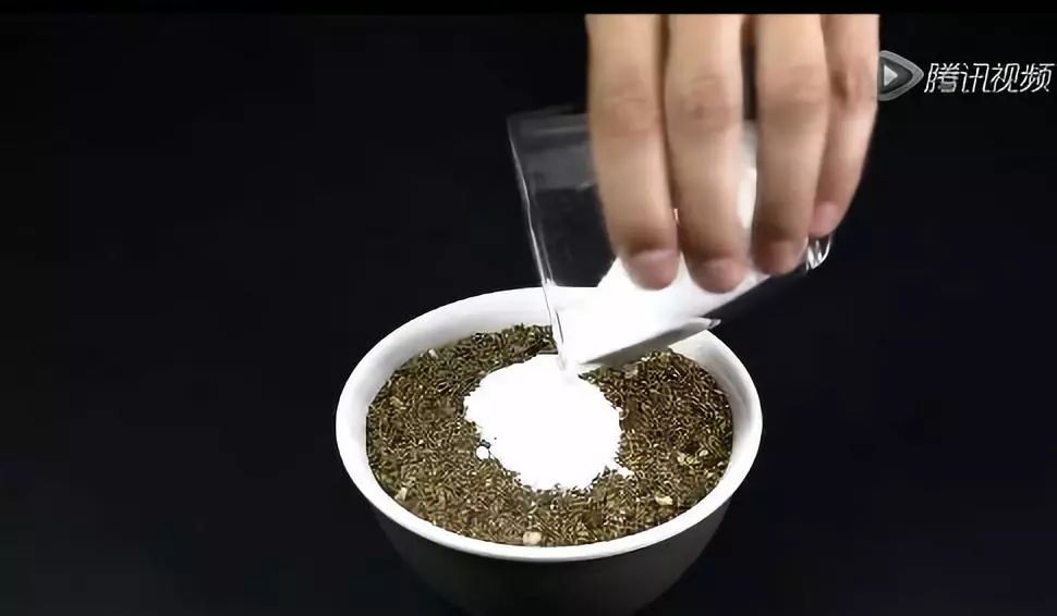 科学实验这个火蛇秀的原理你知道吗