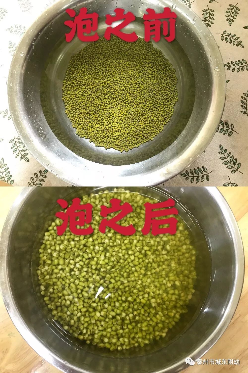 绿豆内部图片